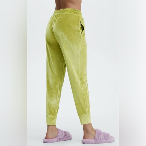 Fabletics Pants - Fabletics 2X Velvet Jogger 💚